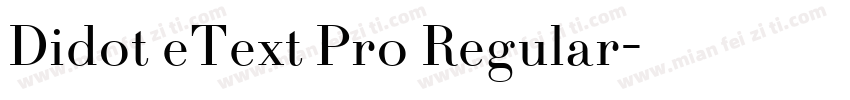 Didot eText Pro Regular字体转换